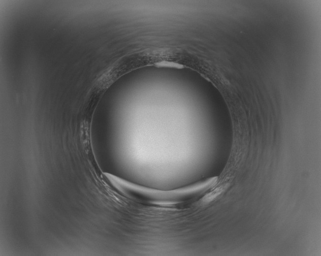 X0000054460528200507291351