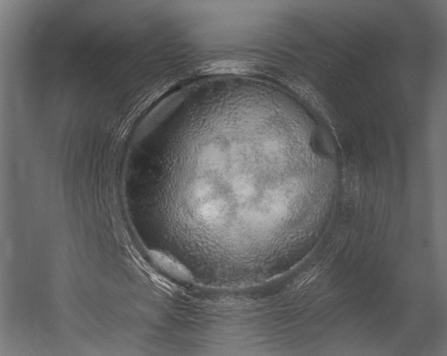 X0000054460529200507291351