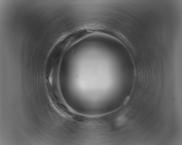 X0000054460530200507291351