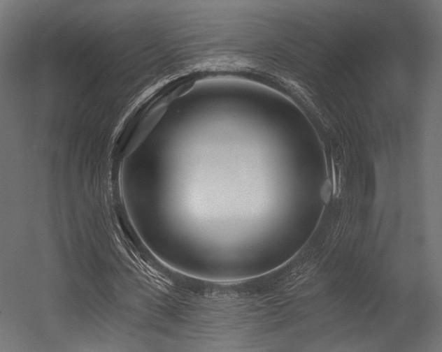 X0000054460531200507291351