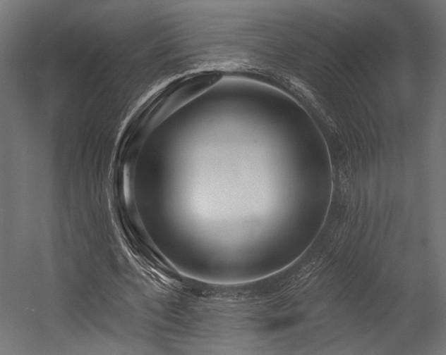 X0000054460532200507291351