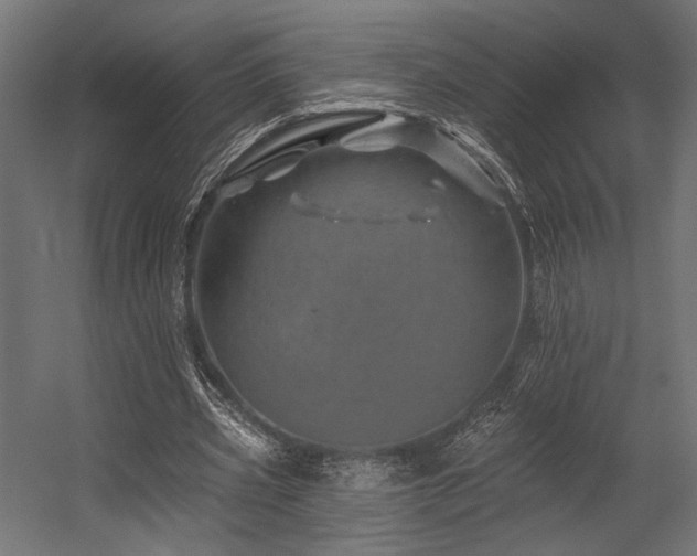 X0000054460533200507291351