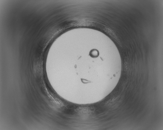 X0000054460534200507291351