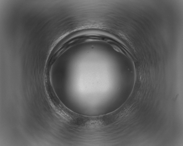 X0000054460536200507291351