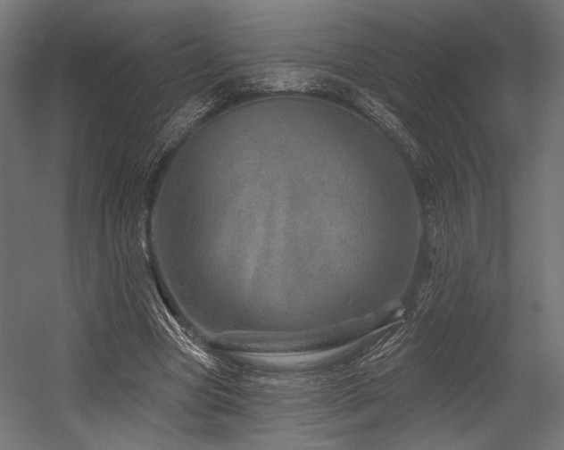 X0000054460537200507291351