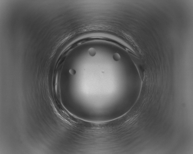 X0000054460538200507291351