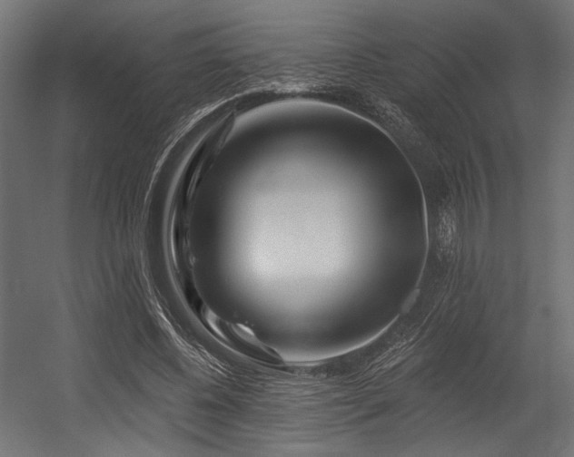 X0000054460540200507291351