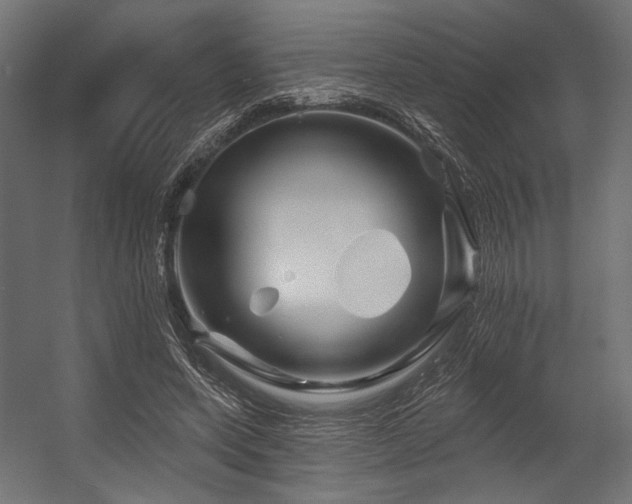 X0000054460543200507291351