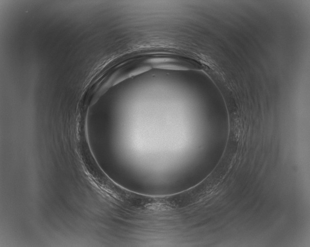 X0000054460544200507291351