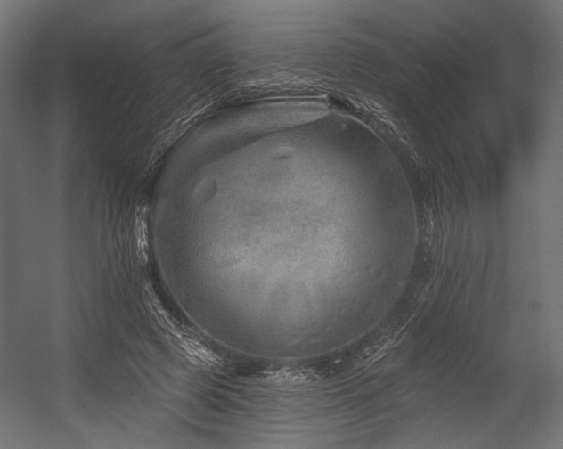 X0000054460545200507291351