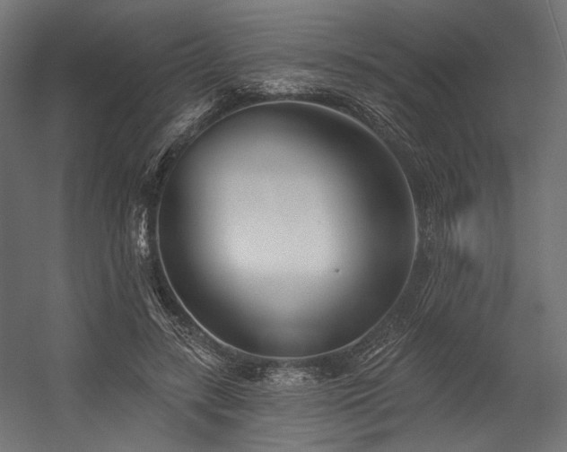 X0000054460547200507291351