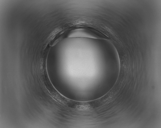 X0000054460548200507291351