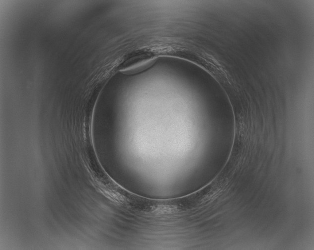 X0000054460549200507291351