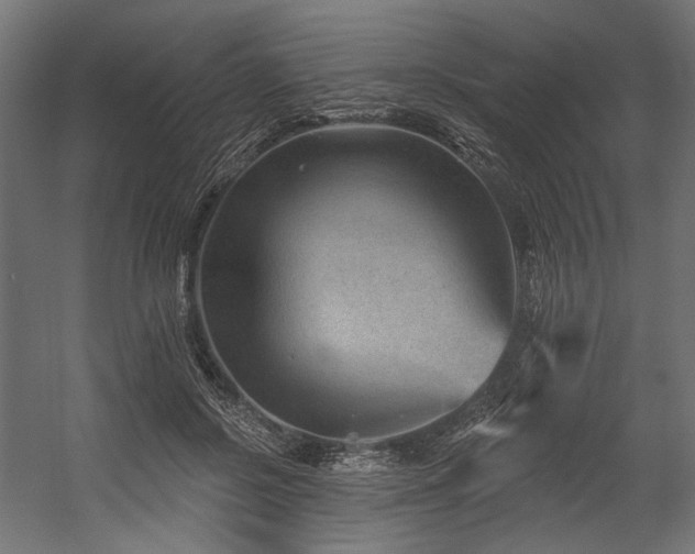 X0000054460550200507291351