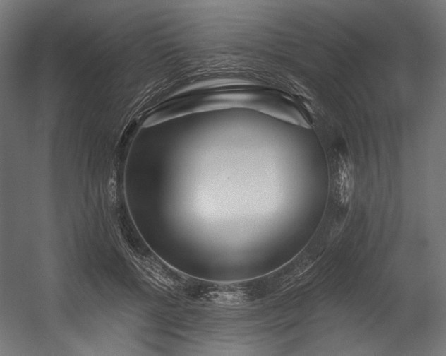 X0000054460552200507291351