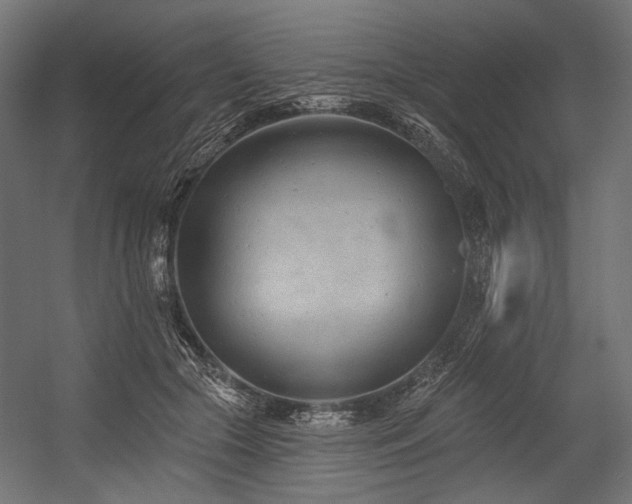 X0000054460553200507291351