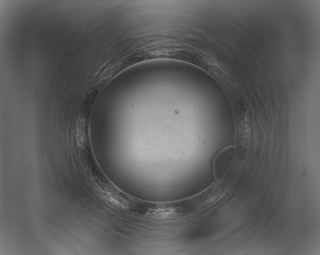 X0000054460554200507291351