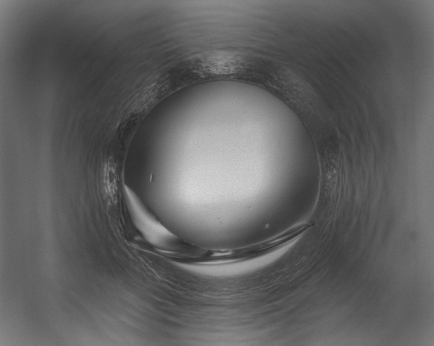 X0000054460555200507291351