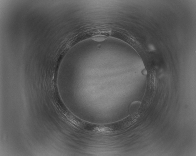 X0000054460557200507291351