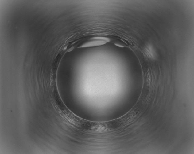 X0000054460559200507291351