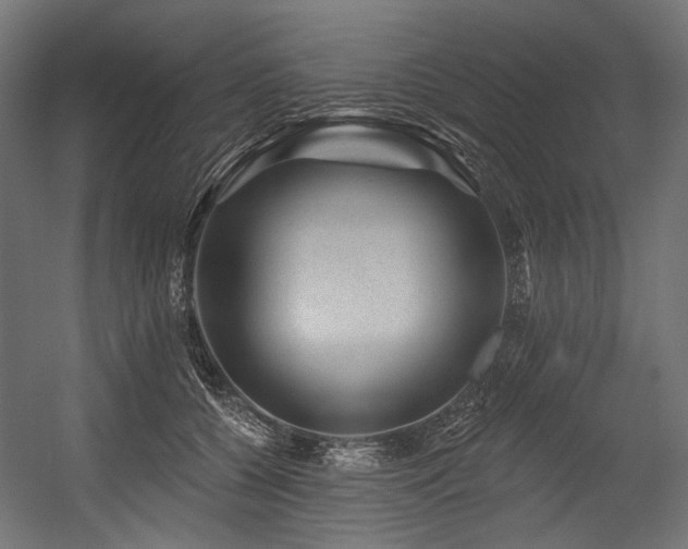 X0000054460560200507291351