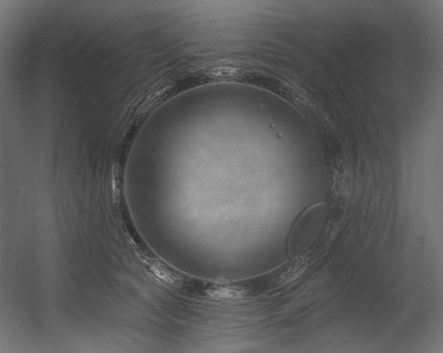 X0000054460561200507291351