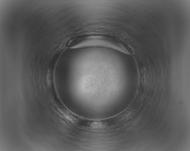 X0000054460562200507291351