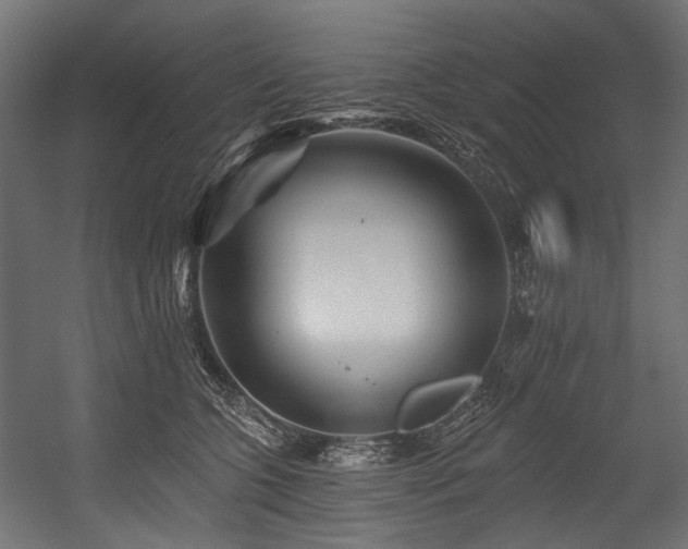 X0000054460563200507291351