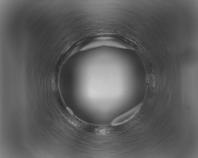 X0000054460564200507291351