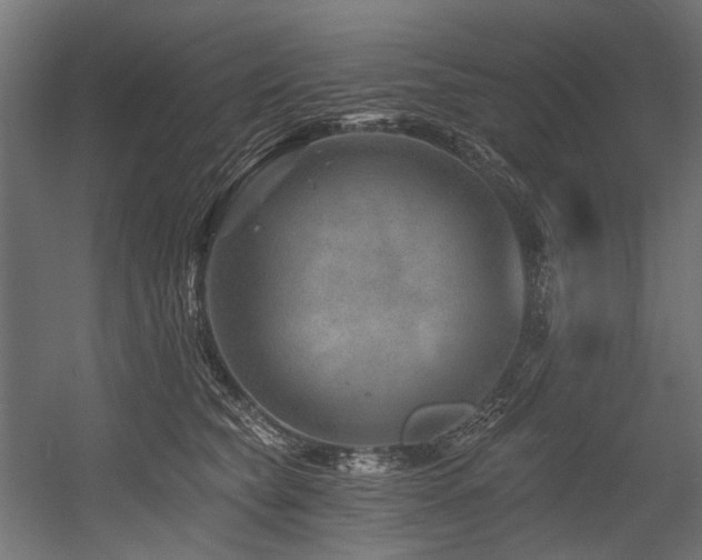 X0000054460565200507291351