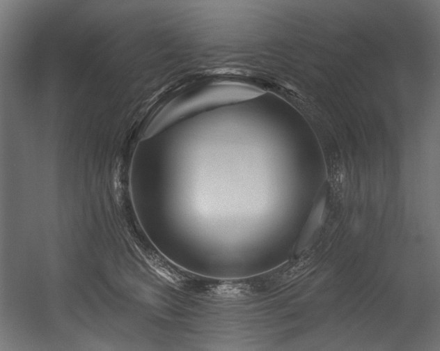 X0000054460566200507291351