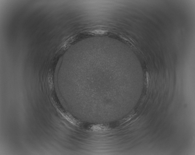 X0000054460568200507291351