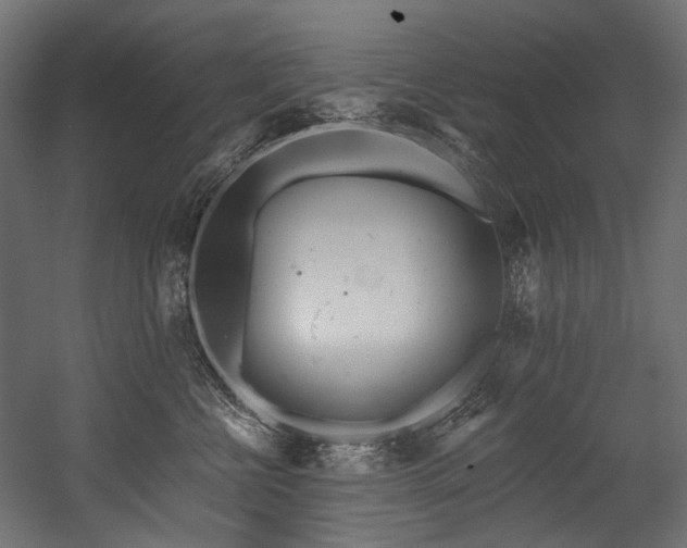 X0000054460570200507291351