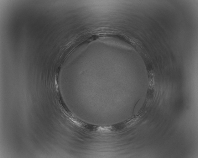 X0000054460573200507291351