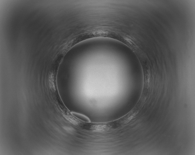 X0000054460575200507291351