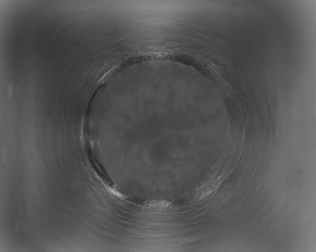 X0000054460576200507291351