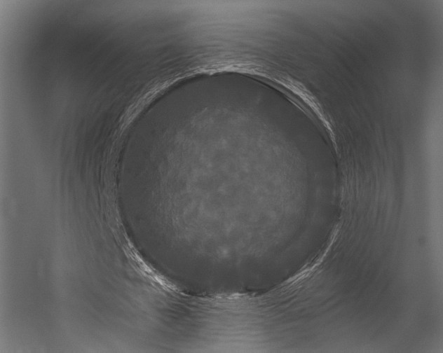 X0000054460577200507291351