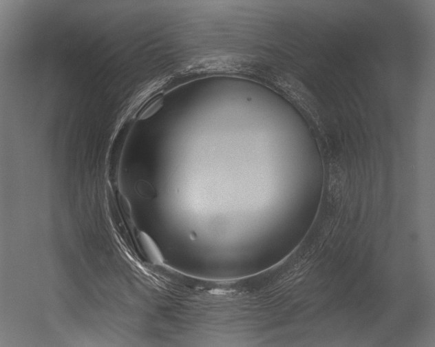 X0000054460578200507291351