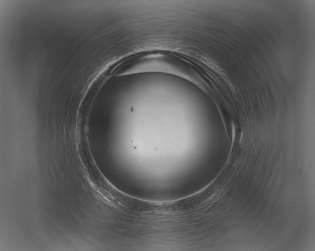 X0000054460580200507291350