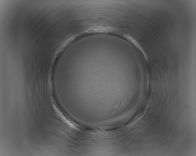 X0000054460581200507291350