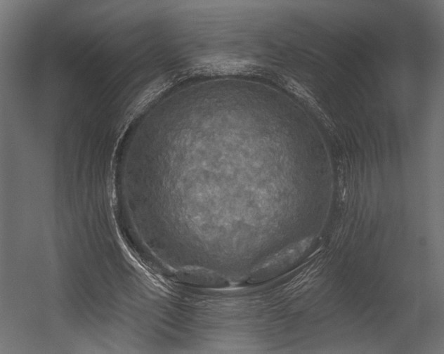 X0000054460582200507291350