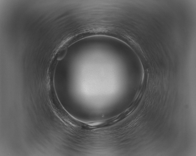 X0000054460584200507291350