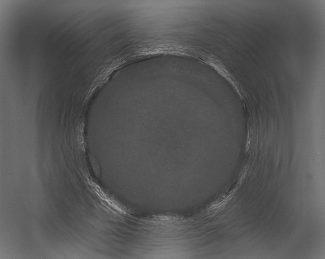 X0000054460585200507291350