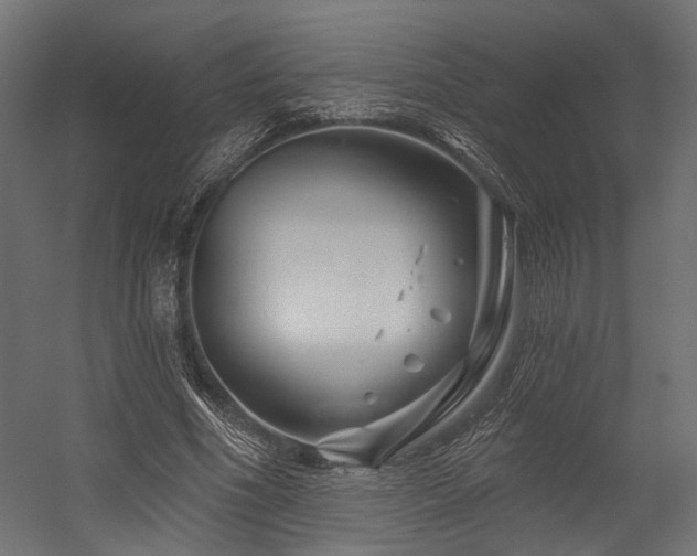 X0000054460586200507291350