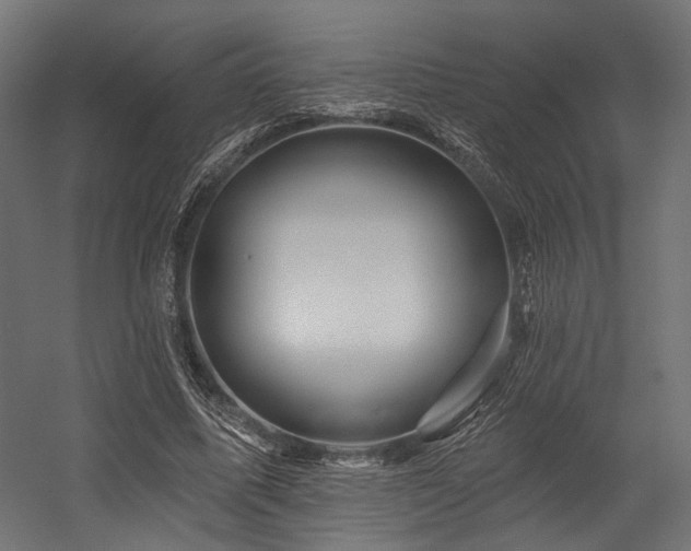 X0000054460587200507291350