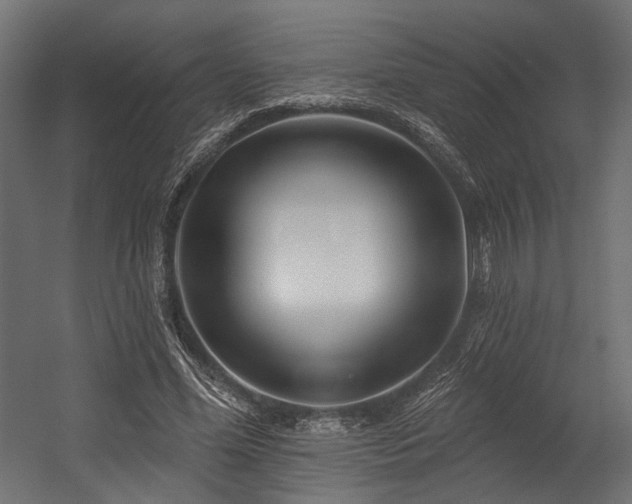 X0000054460588200507291350