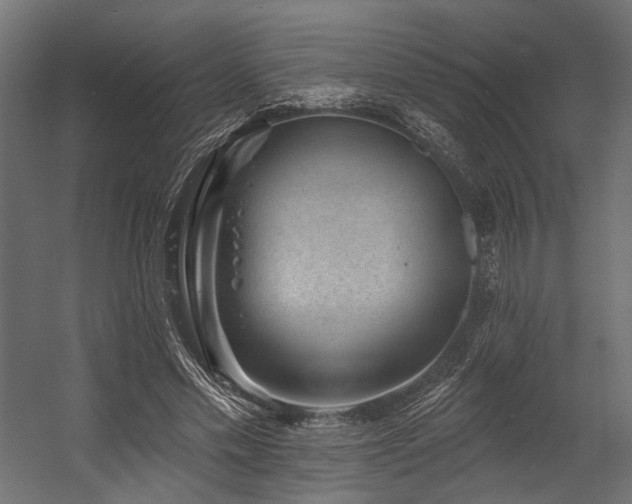 X0000054460589200507291350