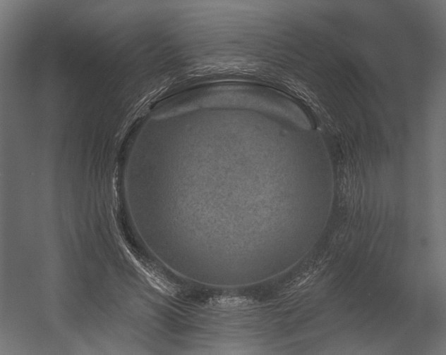 X0000054460590200507291350