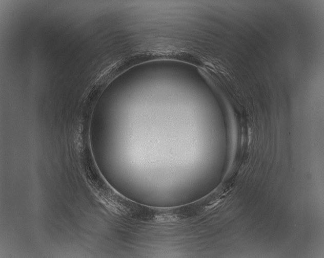 X0000054460591200507291350