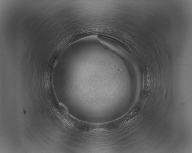 X0000054460593200507291350